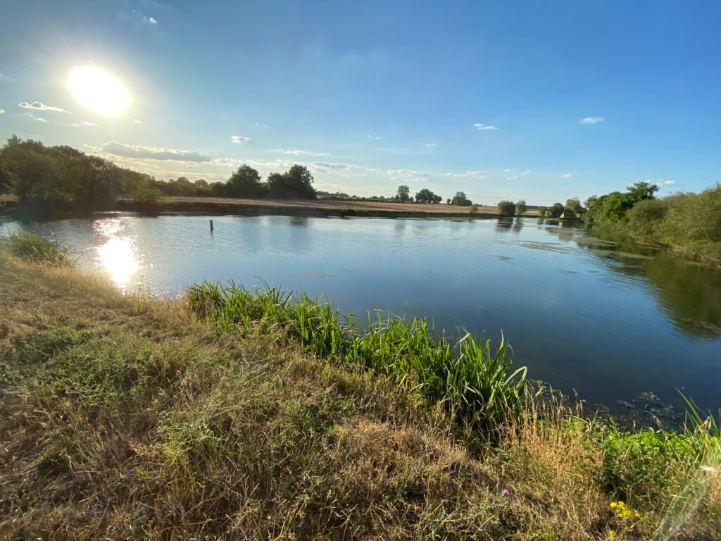 domaine le closeau étang été - Domaine le Closeau | CC BY-SA 4.0
