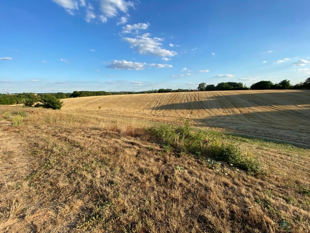espace à boiser au sein du domaine le closeau
