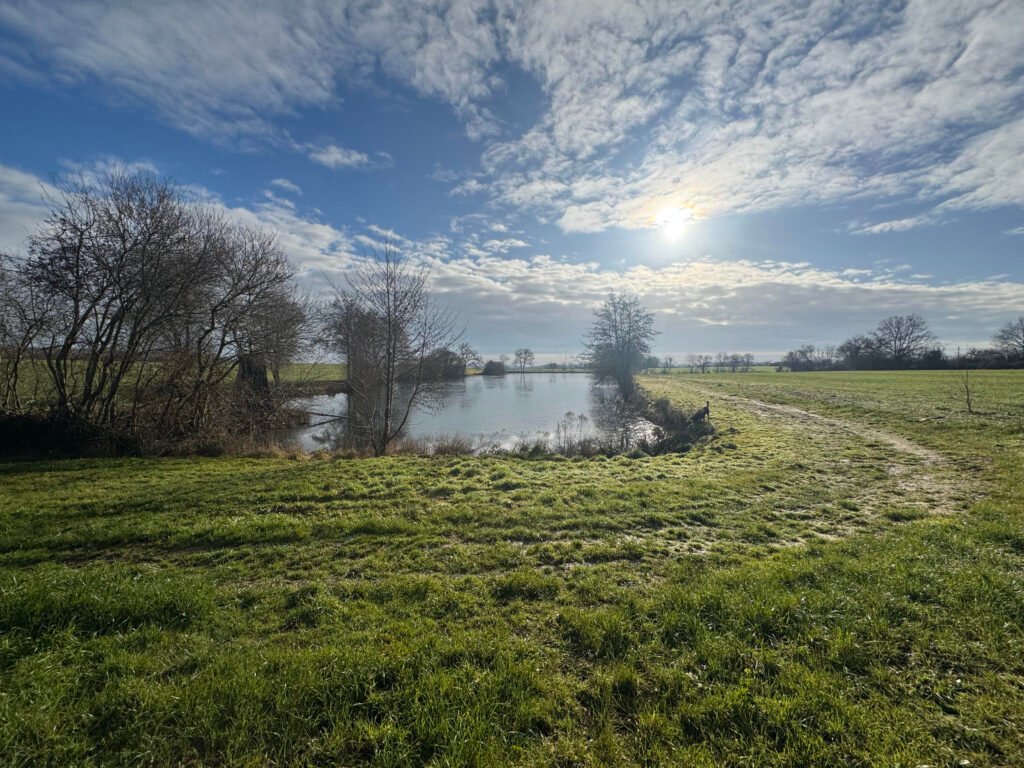 l'étang en hiver gêlé