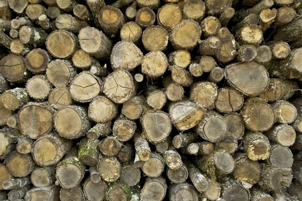 Bois coupés et rangés - Jebulon | CC0 1.0