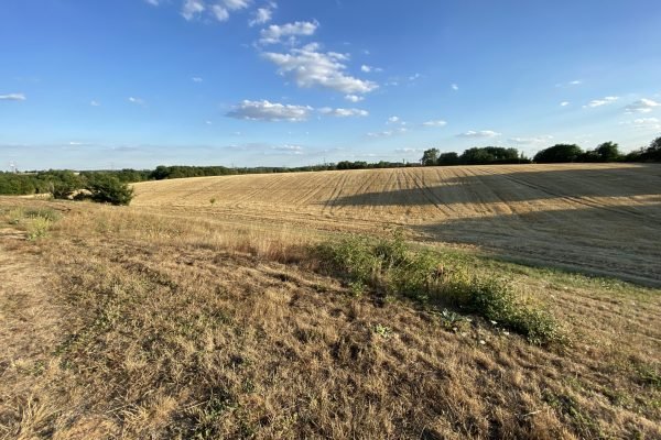 espace à boiser au sein du domaine le closeau