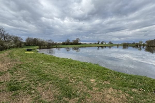 Étang du domaine le closeau accueil - Domaine le Closeau | CC BY-SA 4.0