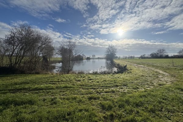 l'étang en hiver gêlé
